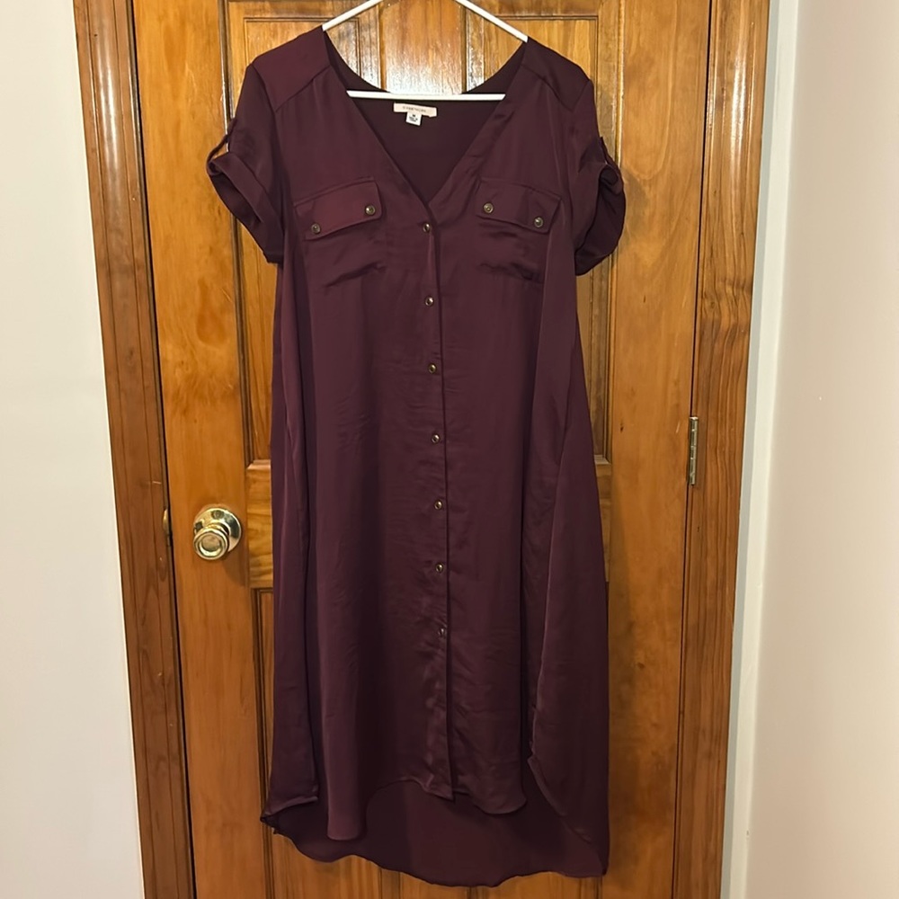 41 Hawthorn Rolled Sleeve Button Down Dress